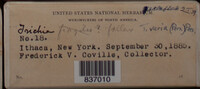 Image Associated With the Occurence